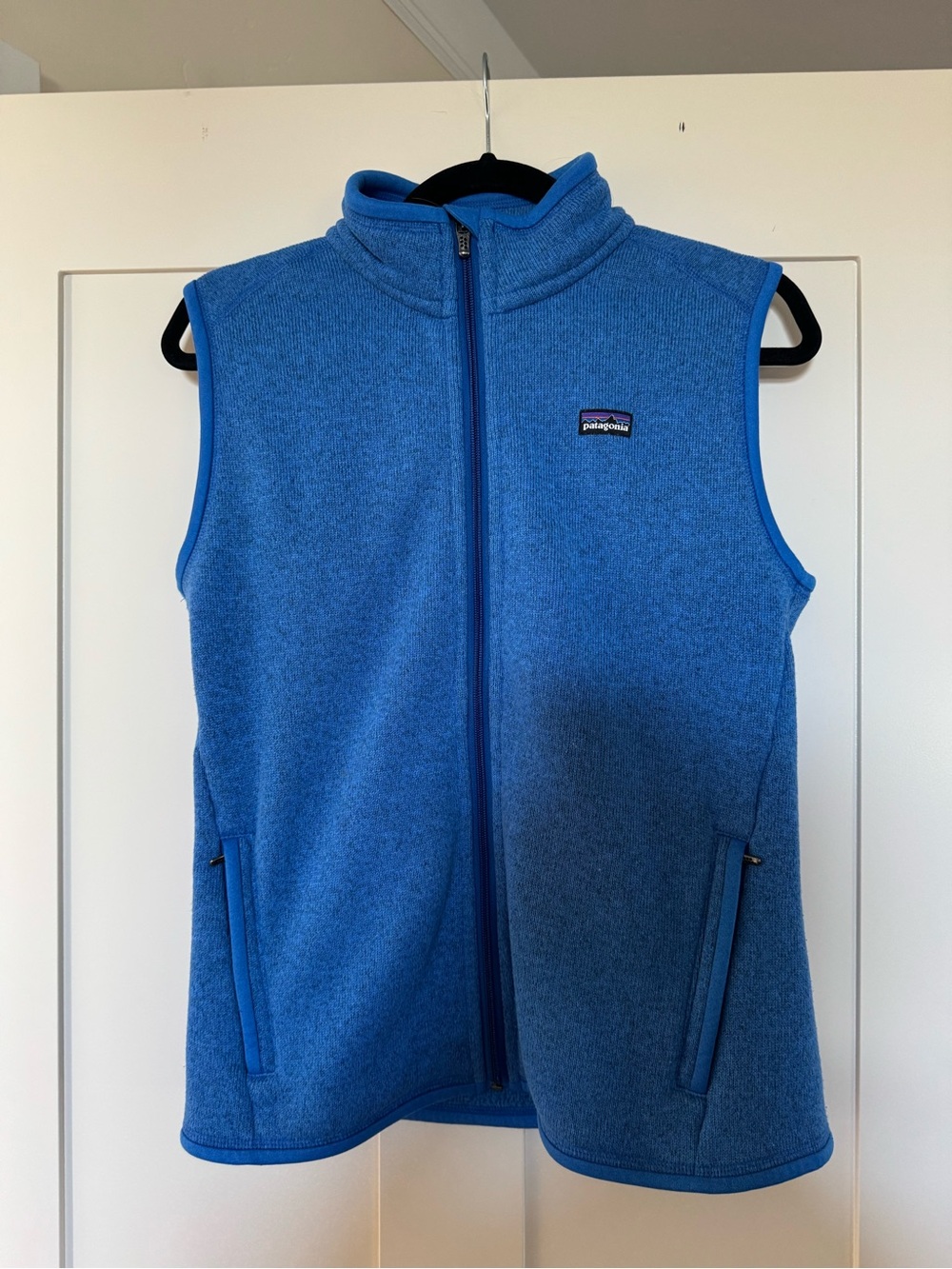 Patagonia Blue Fleece Vest - Zip Front